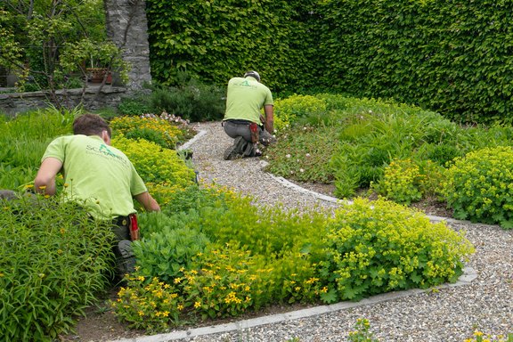Grünflächenpflege für den Garten